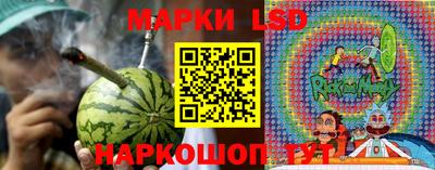 spice Вязники