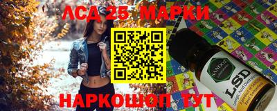spice Вязники
