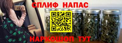 дживик Вышний Волочёк