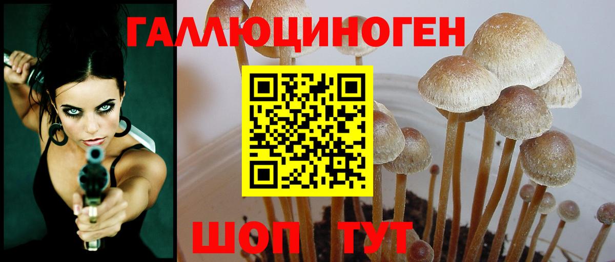Галлюциногенные грибы прущие грибы Нальчик