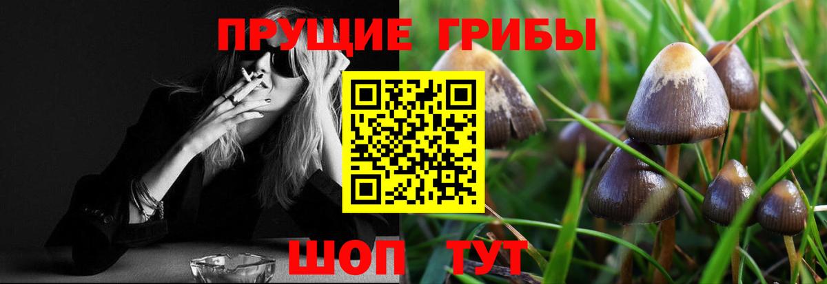 Галлюциногенные грибы Magic Shrooms  Вход с VPN  как найти закладки  Нальчик 